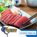 Cá ngừ saku 4A